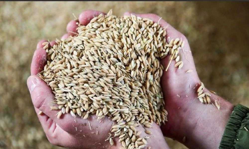 Βρετανός αξιωματούχος: Η επισιτιστική κρίση μπορεί να προκαλέσει περισσότερους θανάτους από τον πόλεμο στην Ουκρανία
